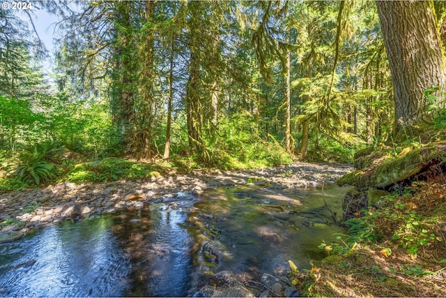 415 Spruce Creek Rd, Longview, WA 98632 - view of nature with a forest view