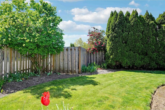5219 Lacey Ct N, Keizer, OR 97303 - view of yard with fence