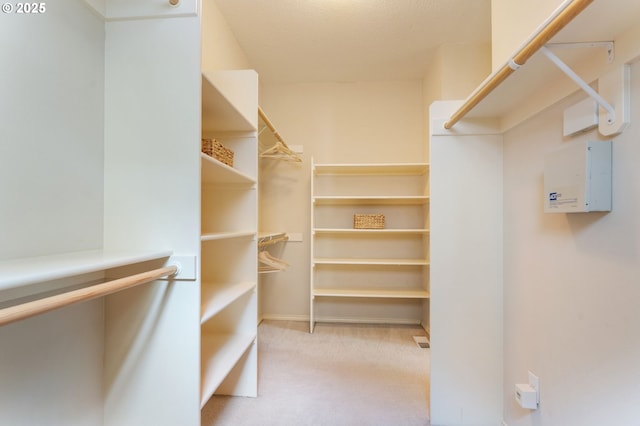 13581 SW Essex Dr, Portland, OR 97223 - walk in closet featuring light carpet