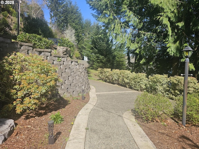 70202 Potato Bottom Rd, Lakeside, OR 97449 - view of property's community