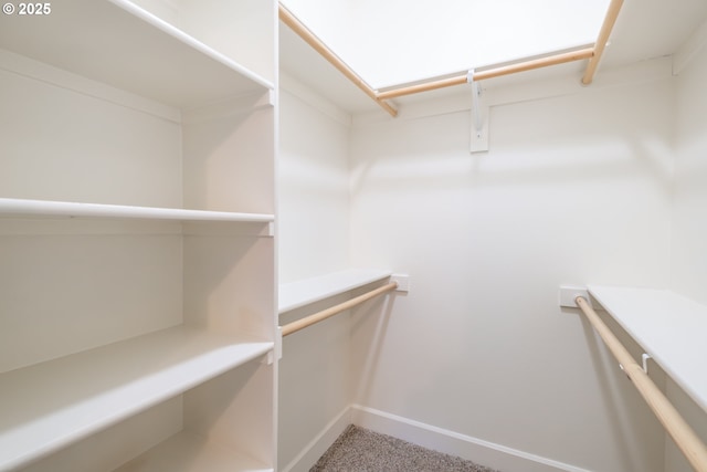 walk in closet with carpet flooring