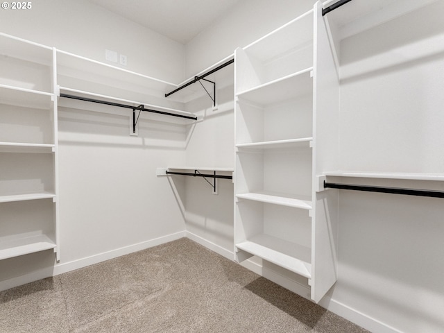 spacious closet featuring carpet