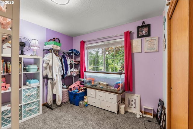 walk in closet featuring carpet
