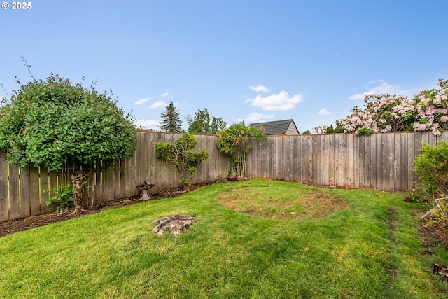 view of yard