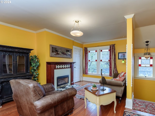 living room featuring crown molding and wood-type flooring