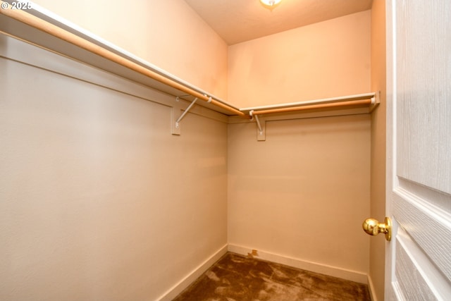 walk in closet featuring dark colored carpet