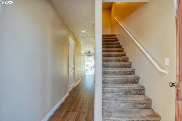 staircase with hardwood / wood-style floors