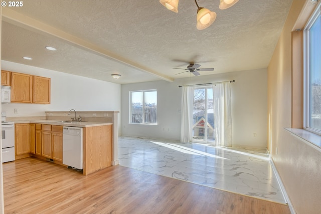 kitchen featuring sink, white appliances, a textured ceiling, ceiling fan, and light hardwood / wood-style floors