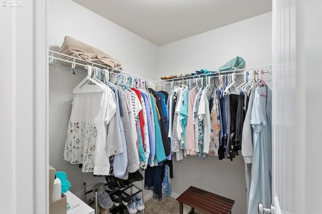 view of spacious closet