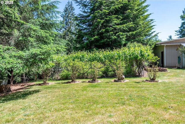 230 S Maple Hill Rd, Kelso, WA 98626 - view of grassy yard