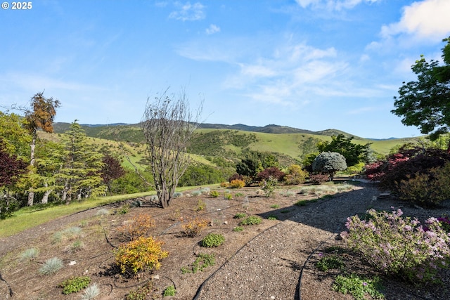 2809 Dead Indian Memorial Rd, Ashland, OR 97520 - view of yard featuring a mountain view