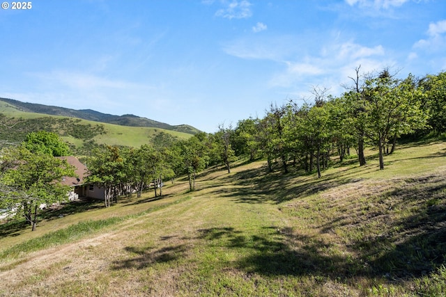 2809 Dead Indian Memorial Rd, Ashland, OR 97520 - view of yard featuring a mountain view and a rural view