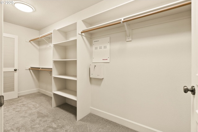 walk in closet featuring light carpet