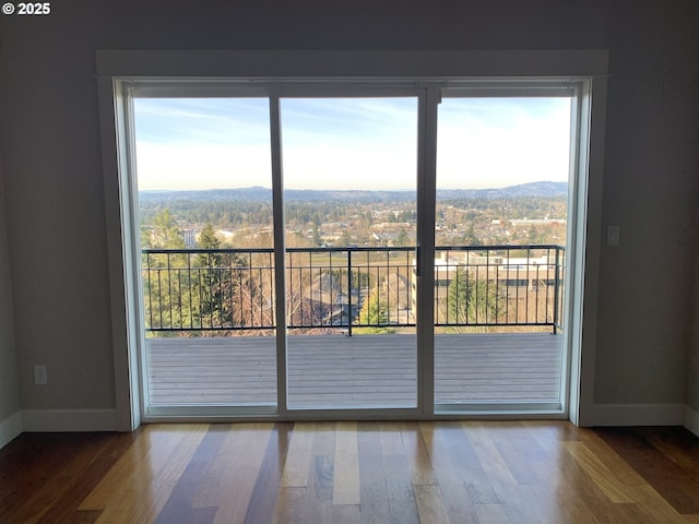 entryway with a mountain view and hardwood / wood-style flooring