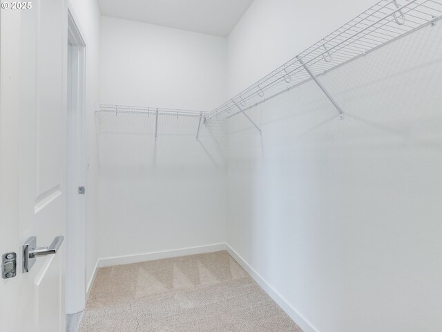 356 NW 29th Way, Battle Ground, WA 98604 - spacious closet with light carpet