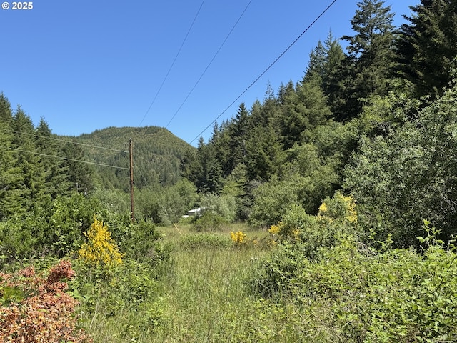 Cedar Valley Rd, Gold Beach, OR 97444