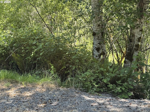 Cedar Valley Rd, Gold Beach, OR 97444