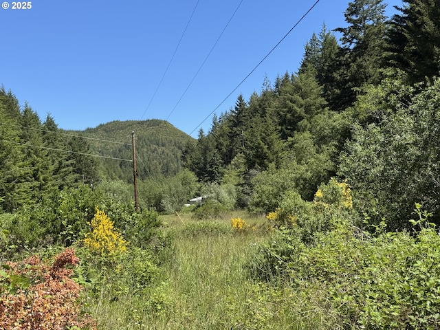 Cedar Valley Rd, Gold Beach, OR 97444
