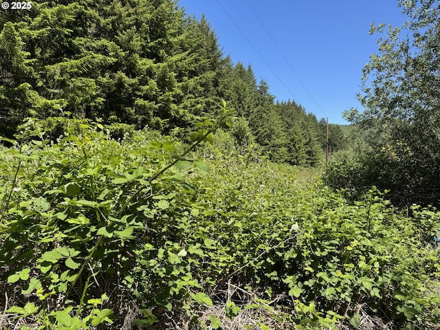 Cedar Valley Rd, Gold Beach, OR 97444