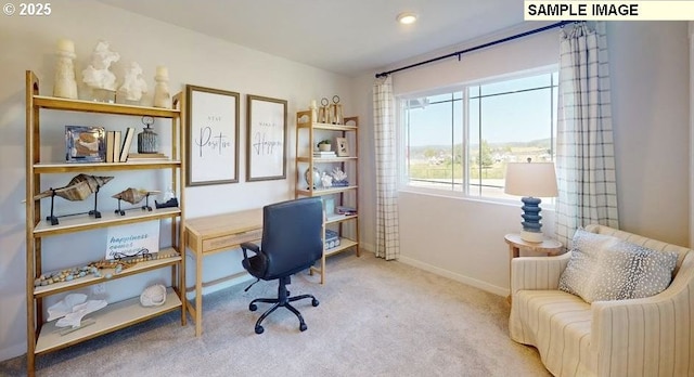 office space featuring baseboards and carpet