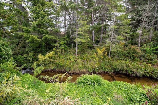 1896 W Park Dr, Florence, OR 97439 - view of nature
