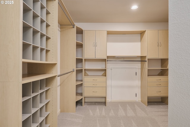 spacious closet featuring carpet floors