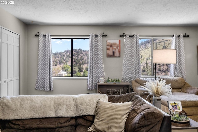 204 Adam Dr, Canyon City, OR 97820 - living room featuring a textured ceiling