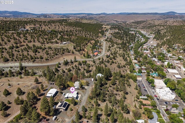 204 Adam Dr, Canyon City, OR 97820 - aerial overview of property's location with mountains