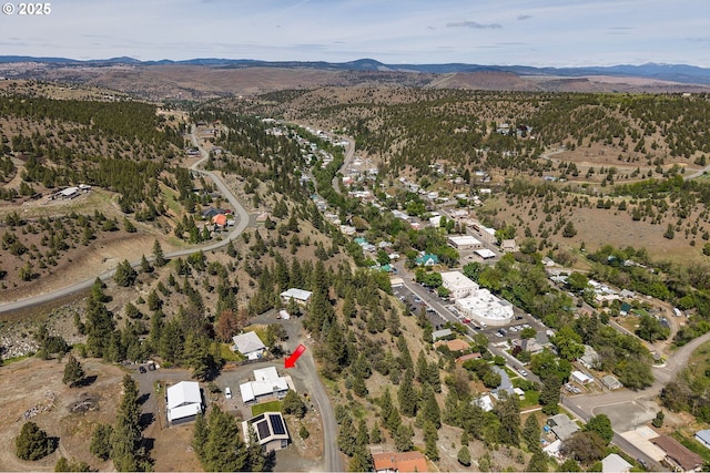 204 Adam Dr, Canyon City, OR 97820 - aerial view of property and surrounding area with a mountainous background