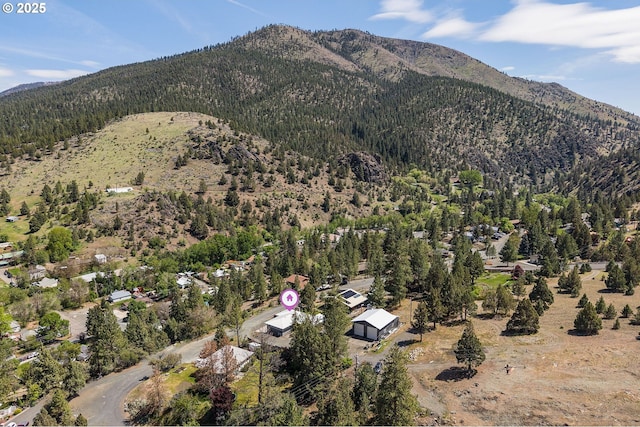 204 Adam Dr, Canyon City, OR 97820 - view of mountain background featuring a heavily wooded area