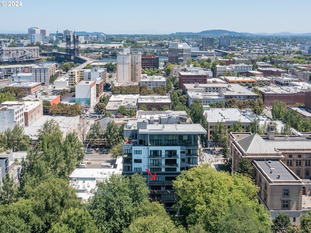 drone / aerial view featuring a mountain view