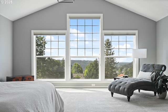 bedroom featuring lofted ceiling, multiple windows, and carpet