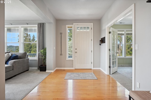 carpeted entrance foyer featuring plenty of natural light, wood finished floors, and baseboards