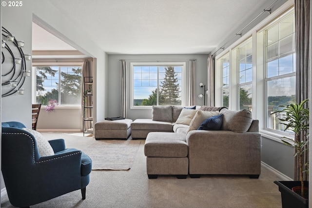 carpeted living room with healthy amount of natural light and baseboards