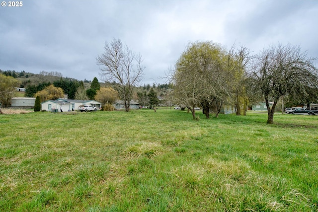 view of yard featuring a rural view