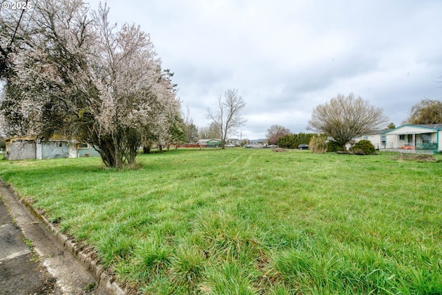 view of yard