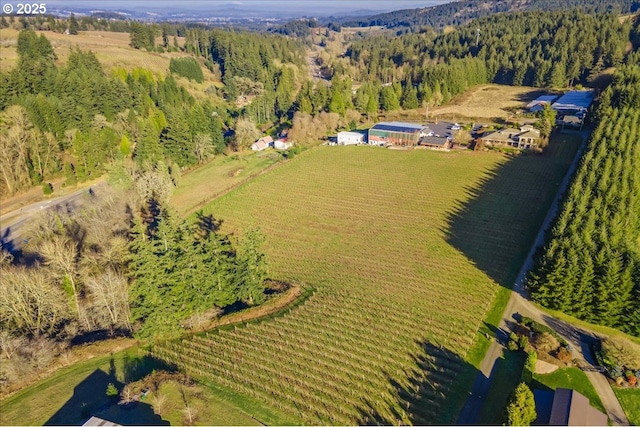 birds eye view of property with a rural view