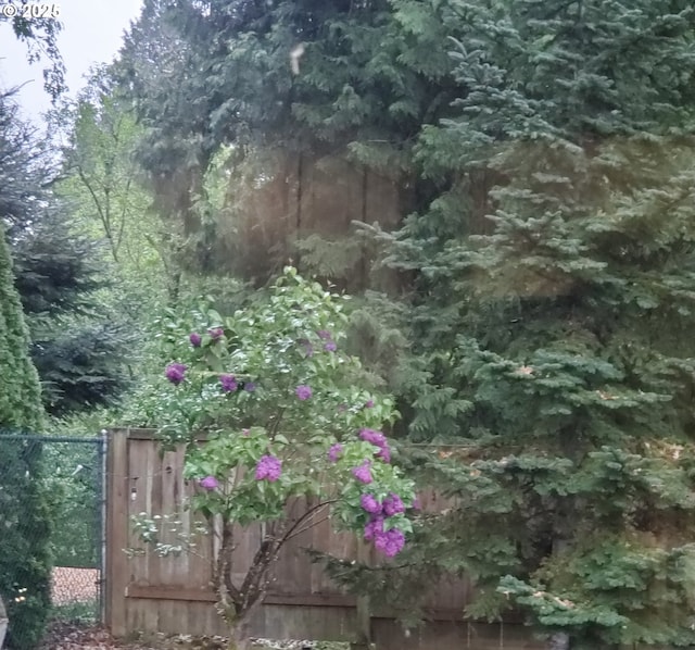 view of nature