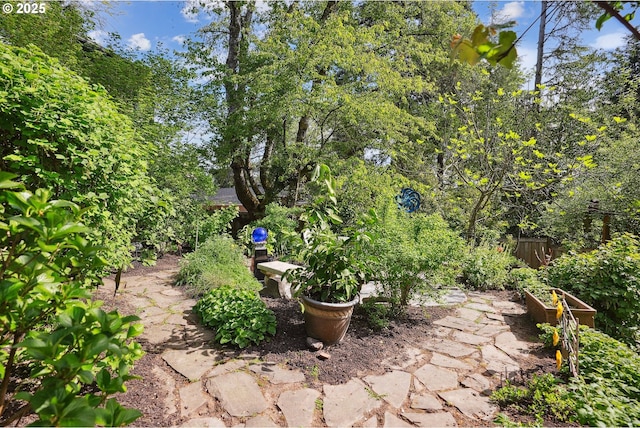 view of yard featuring a garden