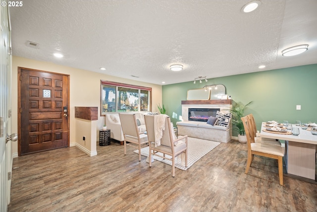 living room featuring a textured ceiling and wood-type flooring