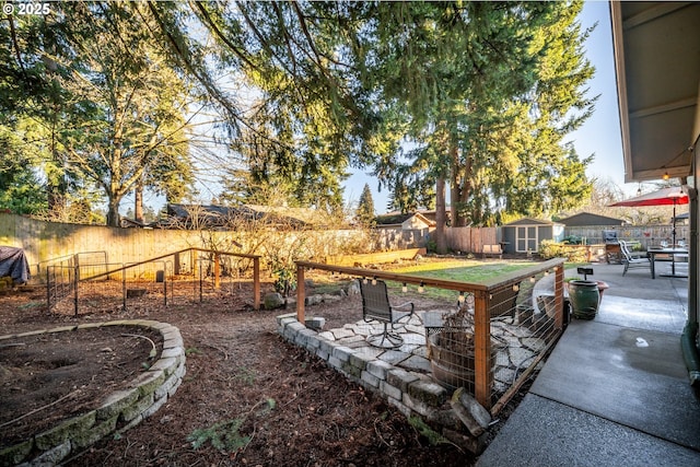 view of yard with a patio area and a storage shed