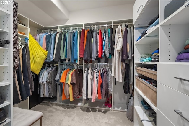 711 NW 94th Ter, Portland, OR 97229 - spacious closet with carpet