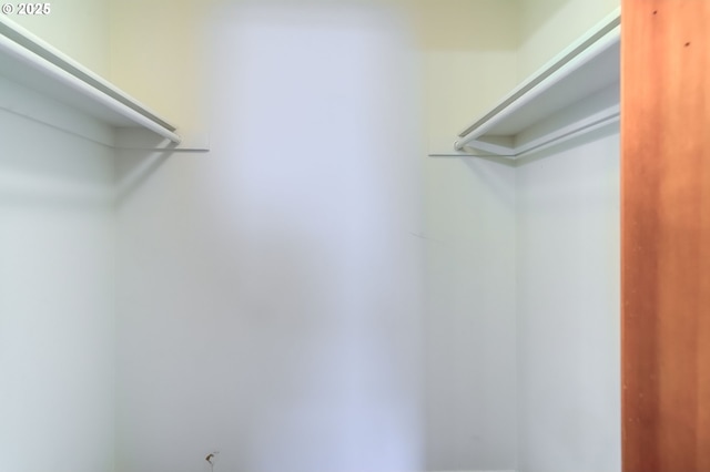 15917 NE Union Rd, Ridgefield, WA 98642 - view of spacious closet