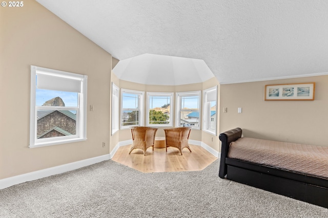 33310 Cape Kiwanda Dr, Pacific City, OR 97135 - bedroom featuring carpet floors, baseboards, and a textured ceiling