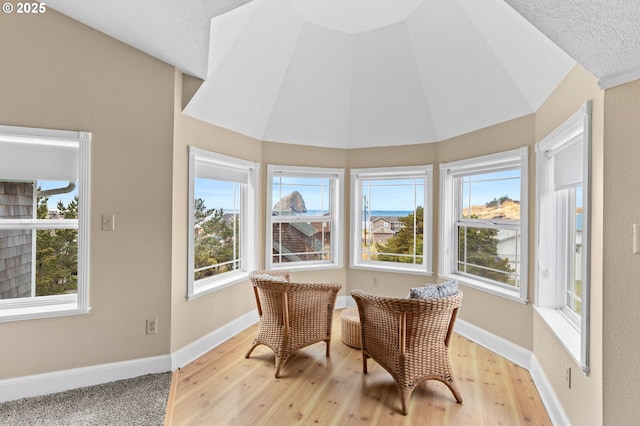 33310 Cape Kiwanda Dr, Pacific City, OR 97135 - sunroom featuring vaulted ceiling