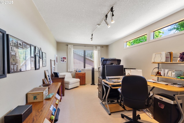 4825 SE 33rd Ave, Portland, OR 97202 - office with rail lighting, light carpet, and a textured ceiling