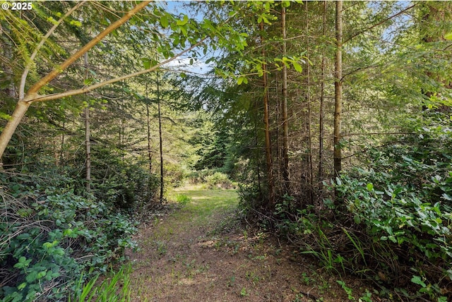 69857 Stage Rd, North Bend, OR 97459 - view of tree filled area