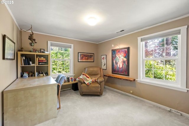 1725 Southshore Blvd, Lake Oswego, OR 97034 - office with ornamental molding and carpet floors