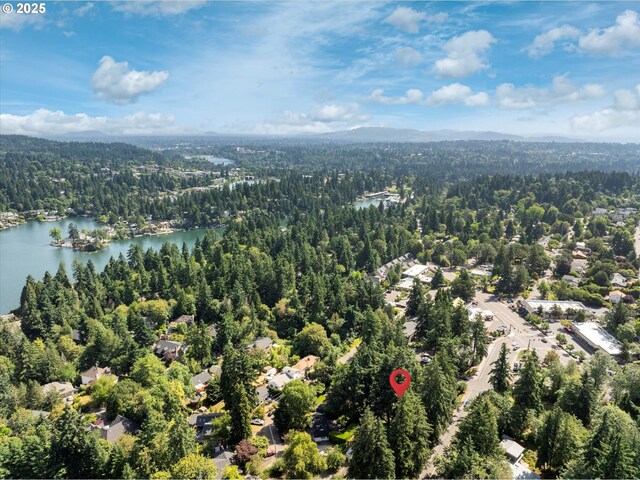 1725 Southshore Blvd, Lake Oswego, OR 97034 - view of property location with a forest and a large body of water