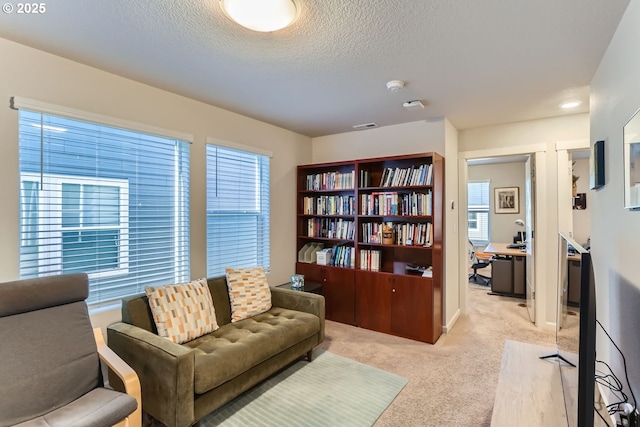 sitting room with a healthy amount of sunlight, light colored carpet, and a textured ceiling